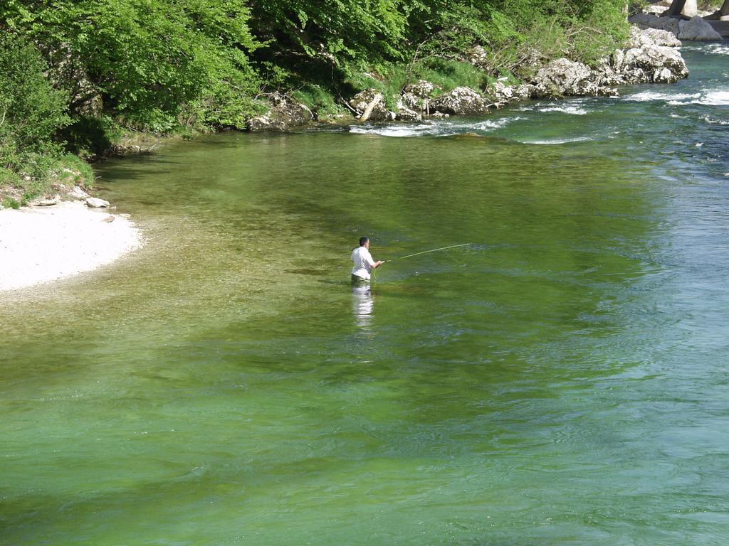 Apartments And Rooms Cerkovnik Bohinj Εξωτερικό φωτογραφία
