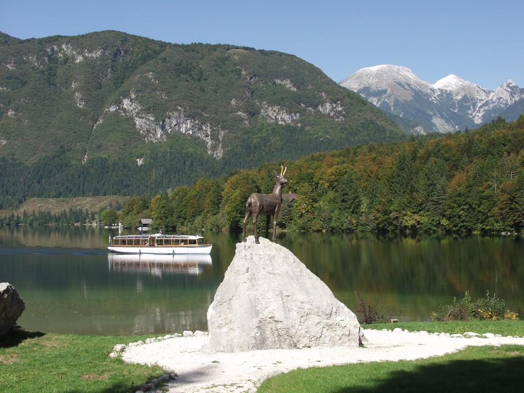 Apartments And Rooms Cerkovnik Bohinj Εξωτερικό φωτογραφία