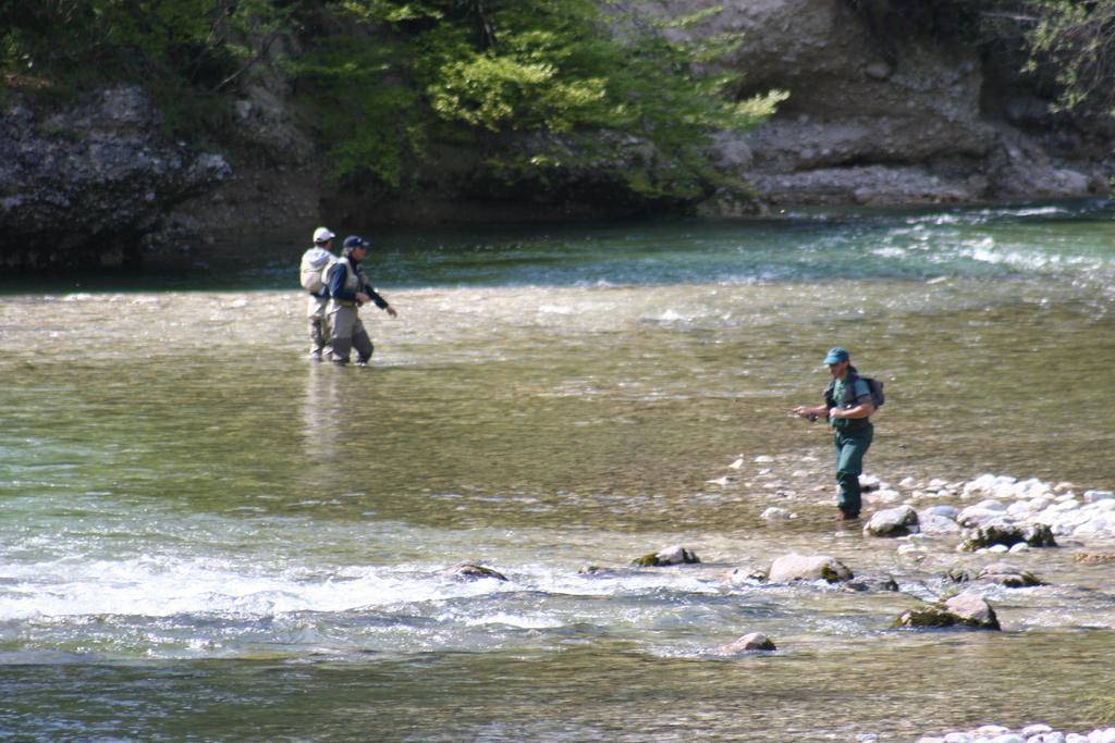 Apartments And Rooms Cerkovnik Bohinj Εξωτερικό φωτογραφία
