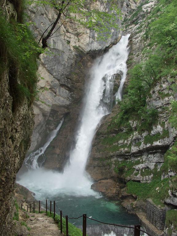 Apartments And Rooms Cerkovnik Bohinj Εξωτερικό φωτογραφία