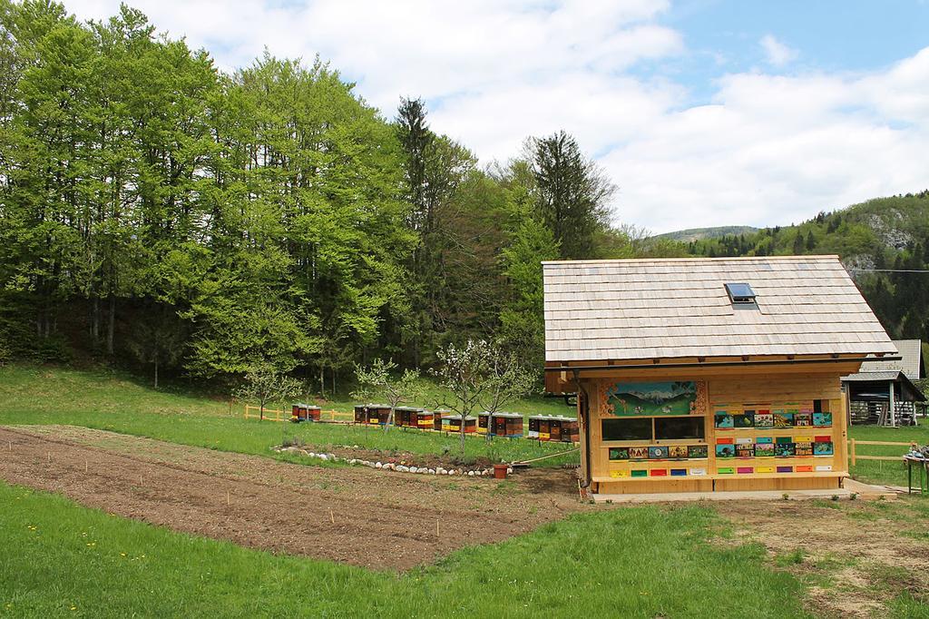 Apartments And Rooms Cerkovnik Bohinj Εξωτερικό φωτογραφία