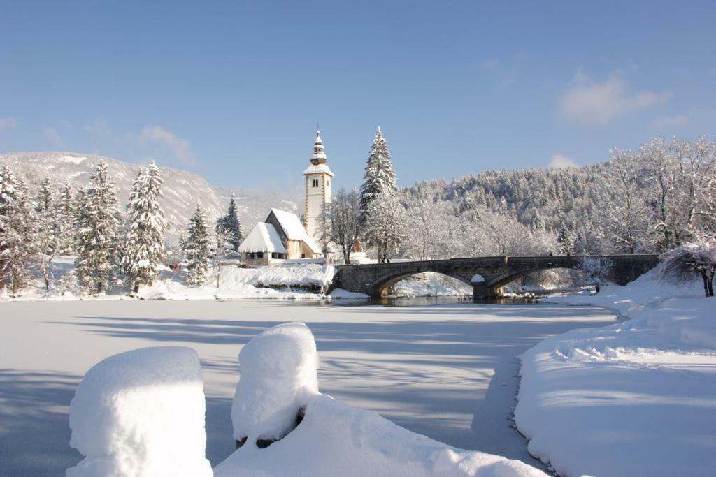 Apartments And Rooms Cerkovnik Bohinj Εξωτερικό φωτογραφία